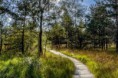 /album/de-omgeving/knuppelpad-ii-jpg/